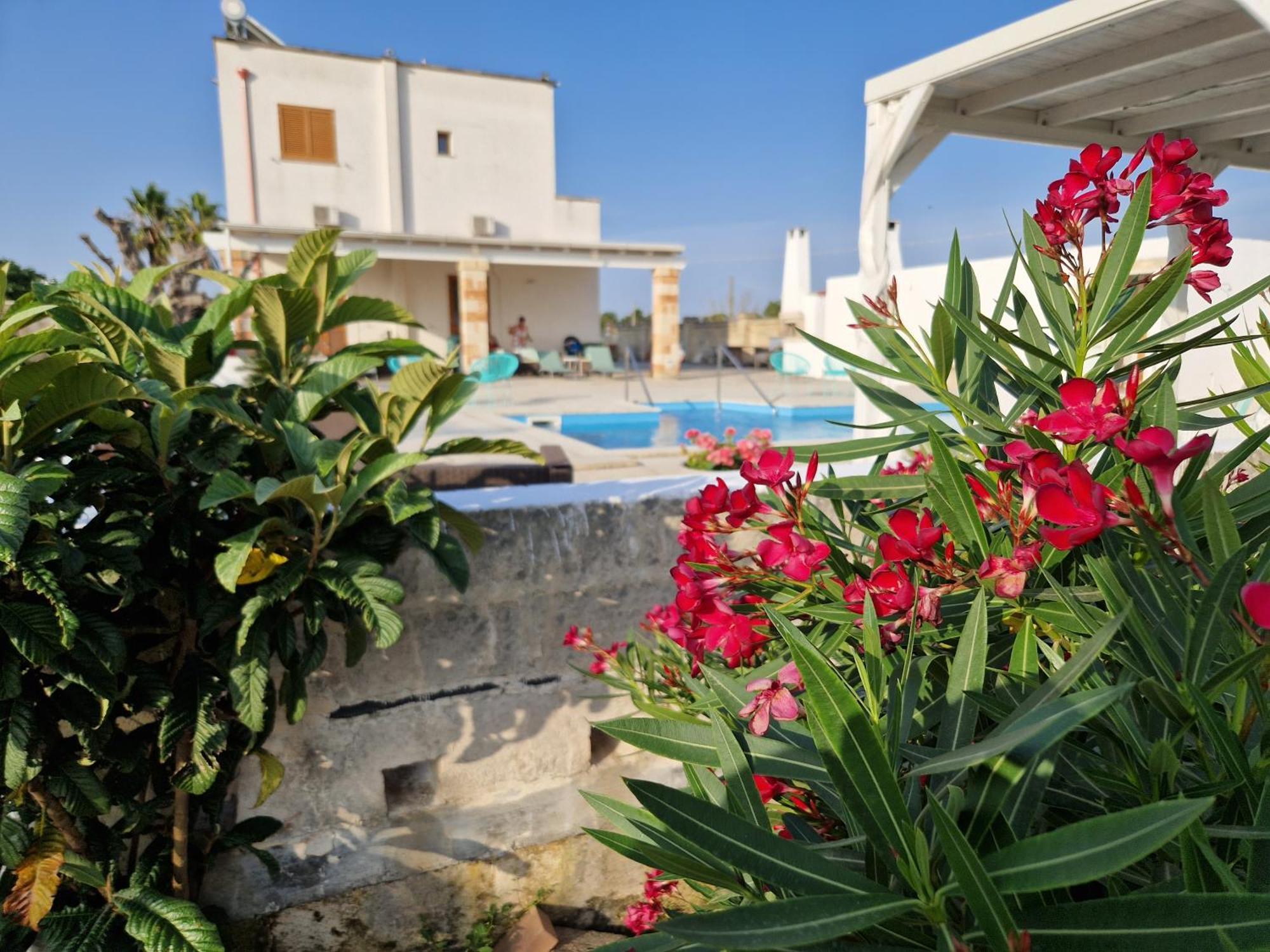 La Dimora Dei Conti Bed & Breakfast Collemeto Eksteriør bilde